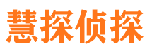 北塔市私家侦探